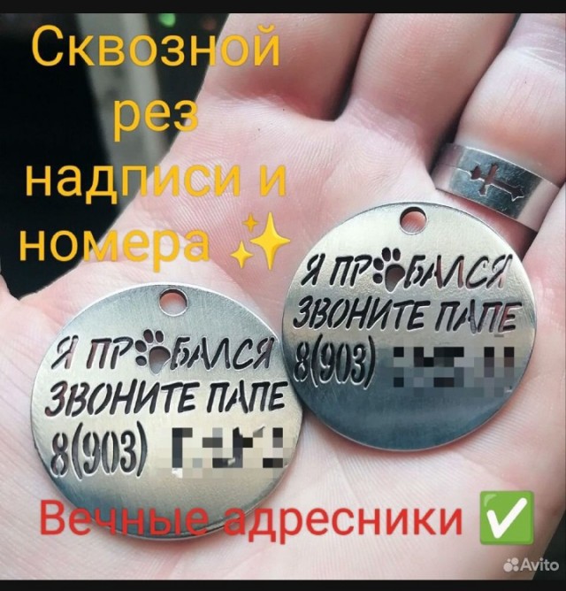 Как я вчера собаку нашёл