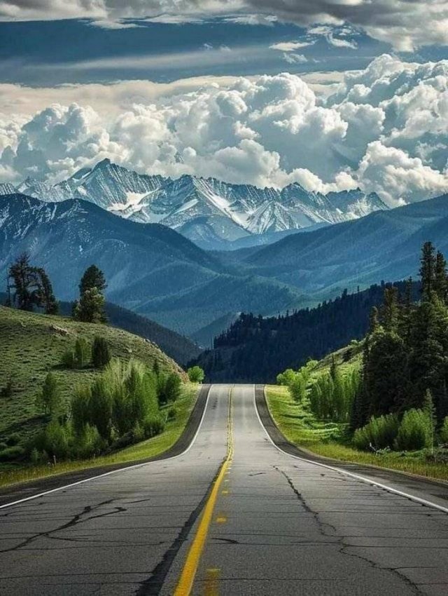 ФотоВинегрет