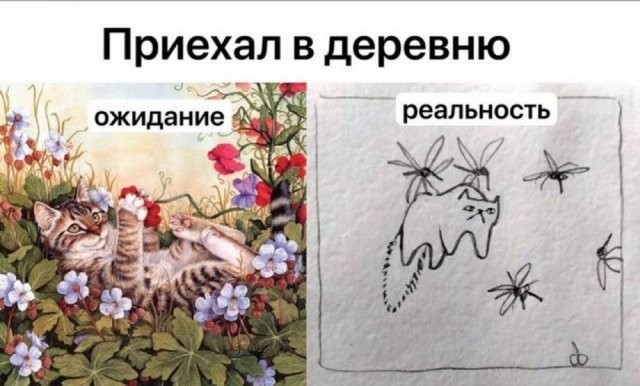 Завалялось тут случайно немного забавных картинок
