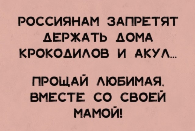 Так себе картинки 01.12.24