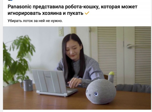 Кот пердит