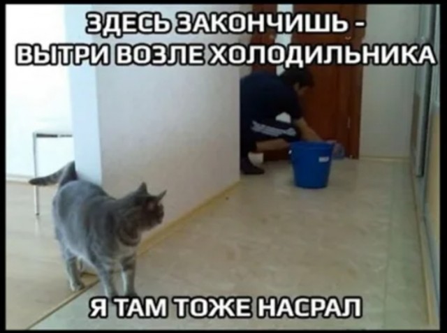 Сопля раскаяния?