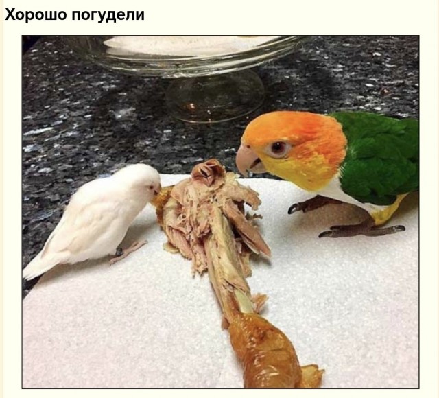 Завалялось тут случайно немного забавных картинок