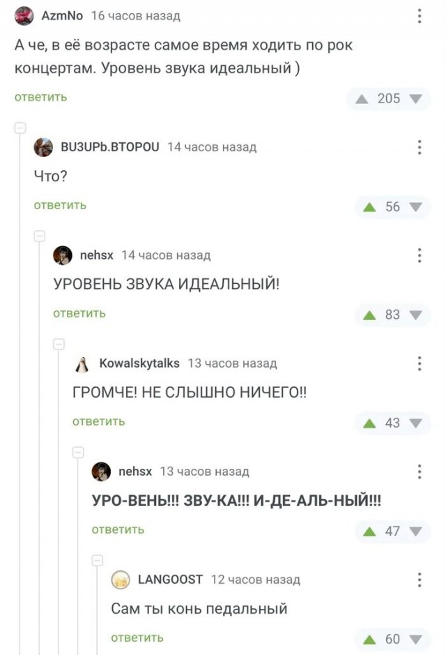 Весёлый полтишок 14.05.25.
