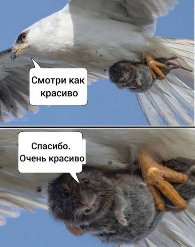 Для настроения