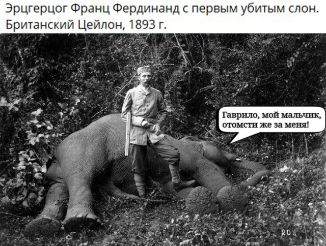 111 лет назад, 28 июля 1914 года, началась Первая мировая война.