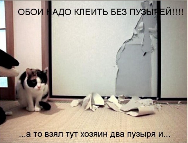 Картинки 15 октября