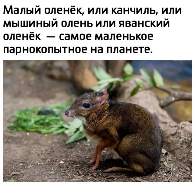 Так себе картинки 15.10.25