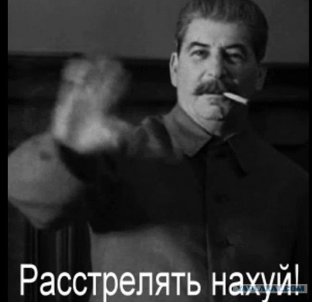 Сын Медведева выступил против расстрелов за коррупцию в России по аналогии с КНР