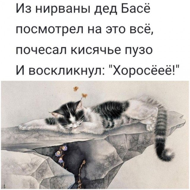 Прикольные и просто красивые картинки 18.11.2025