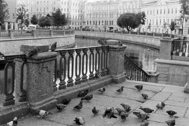 Чёрно-белый Петербург 2.