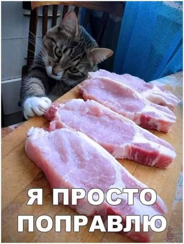 Картинки для деградации 164 (разной степени свежести)