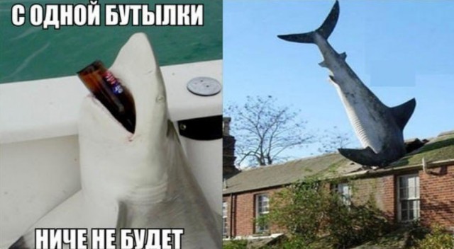 Картиночки, баянчики 18 июня