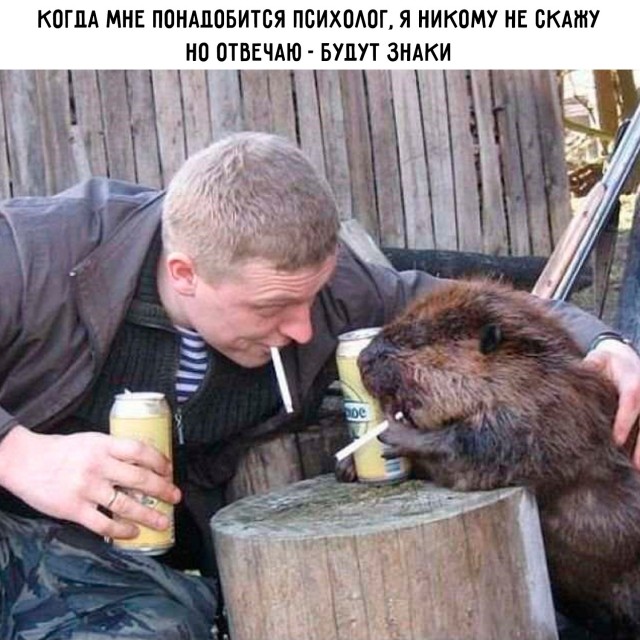 Картинки для деградации 225 (разной степени свежести)