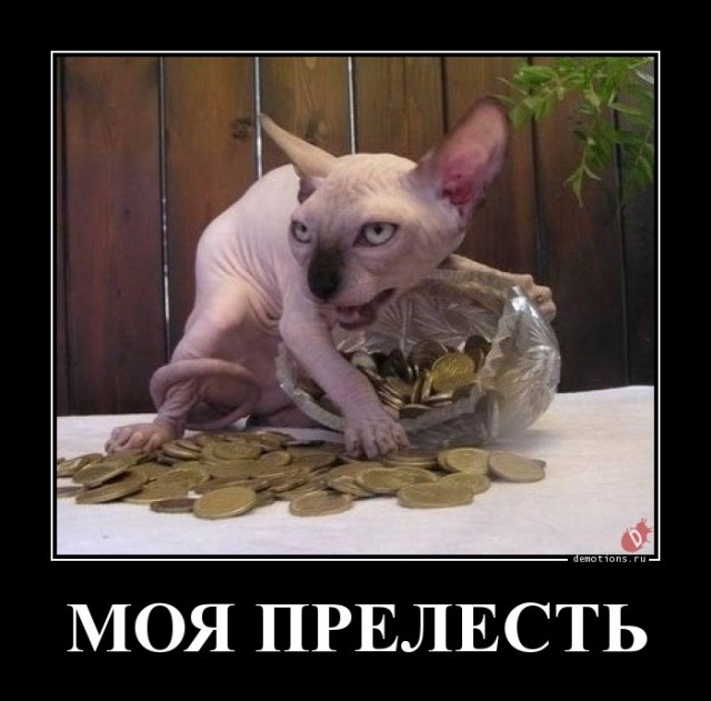 Если бы я искала мужчину