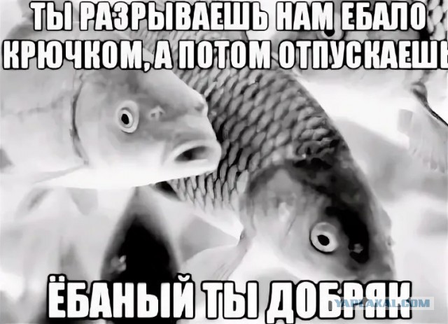 «Борьба продолжалась больше часа». Нижегородец поймал огромного 100-килограммового сома длиной больше 2 метров