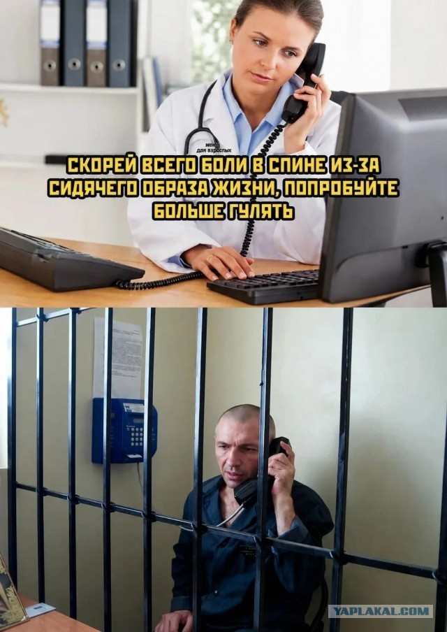 Обожаю наши службы психологической поддержки по телефону