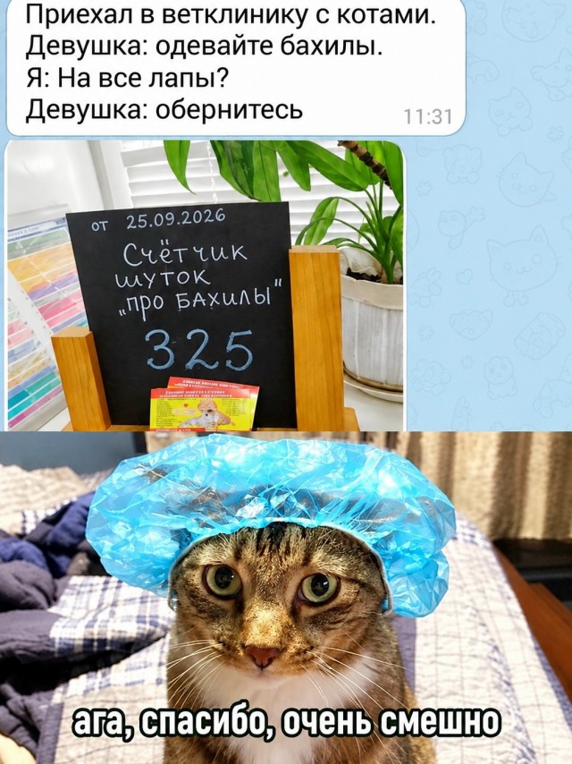 Так себе картинки 27.09.26