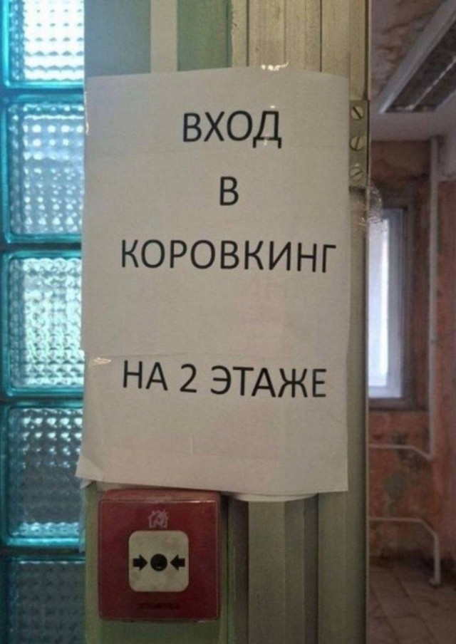 Киберзапугивание на венгерском языке и другие картинки