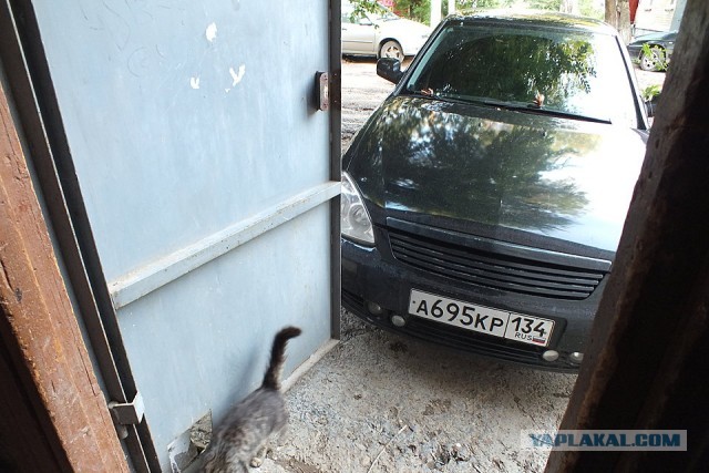 Гений парковки 80 lvl