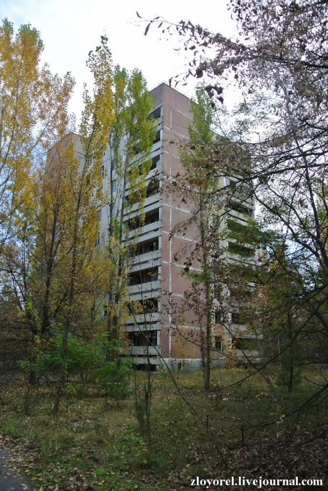 Чернобыльская Зона Отчуждения