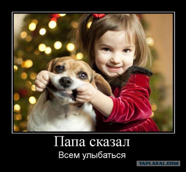 Демотиваторы.
