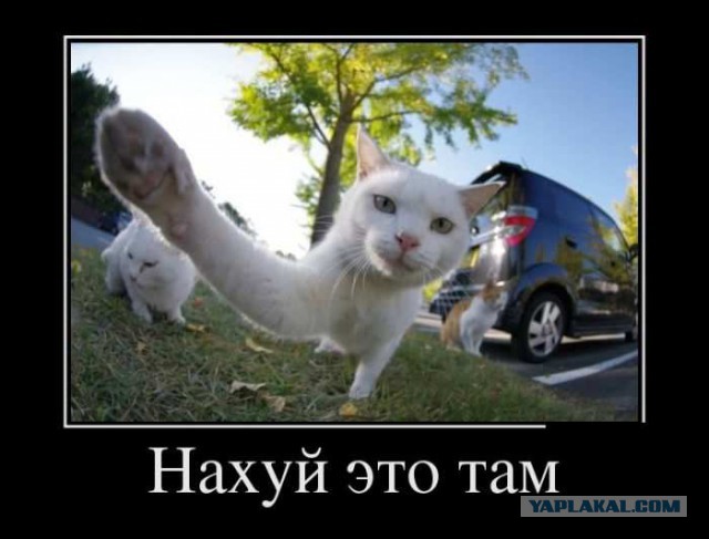 Прощание с ЯПом в картинках, 4 стадии.
