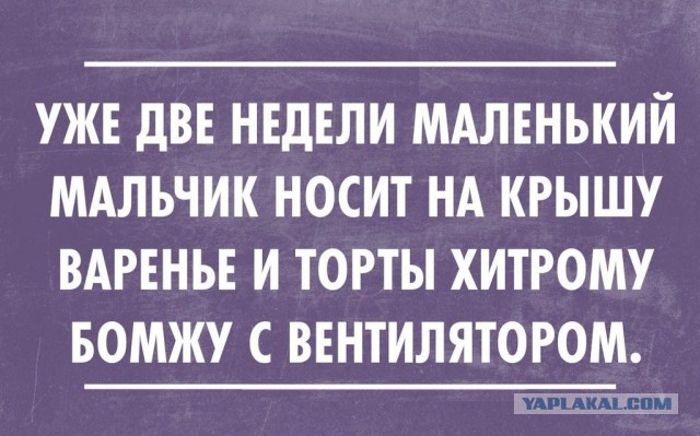 Подборка картинок