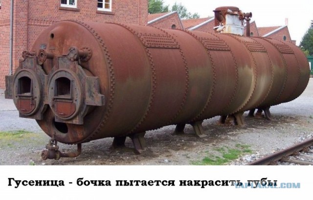 Чутка картинок