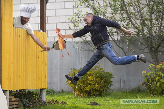 Фотожаба: Настоящий друг!