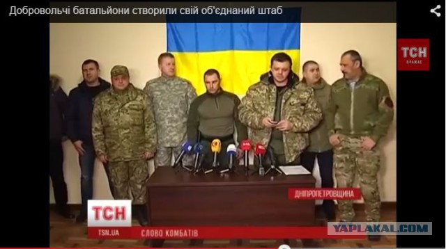 Укроняньки. Семь штук.