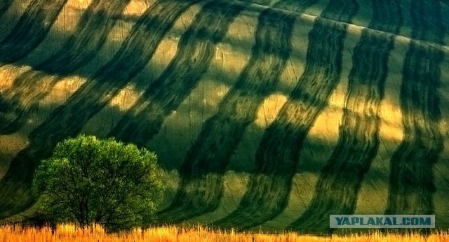 27 фотографий