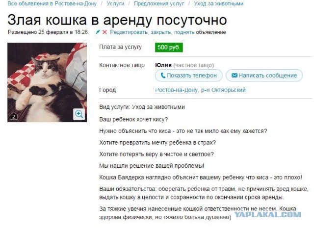 Кошка-имбицил