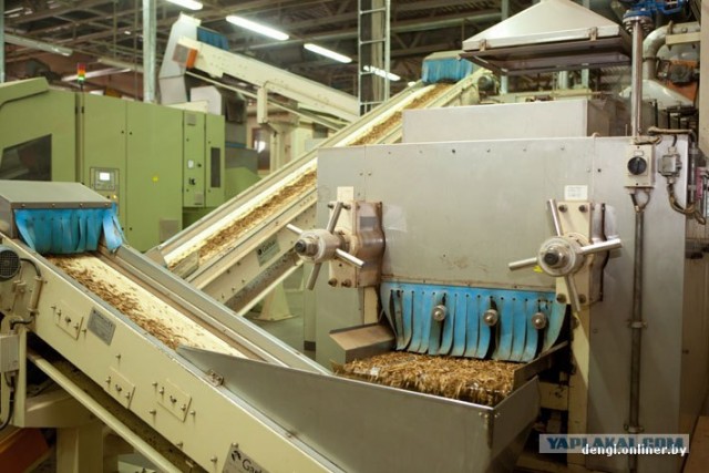 Как в Беларуси делают сигареты: репортаж