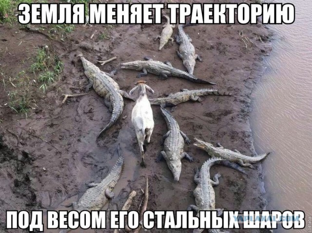 Подборка веселых картинок