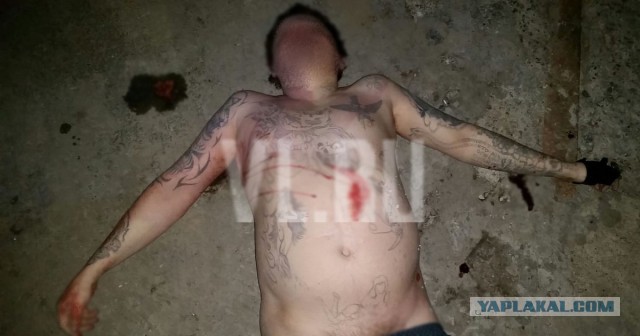 Во Владивостоке полицейские застрелили пьяного хулигана с пистолетом