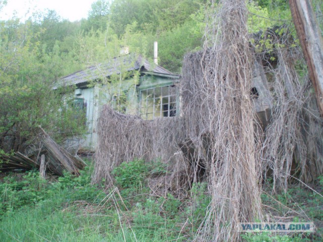 Зачем убивают Деревни?