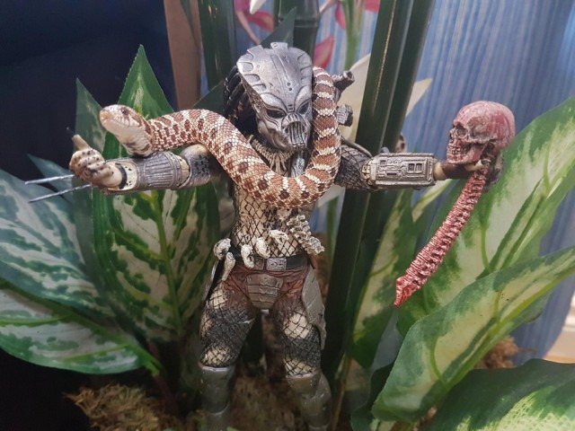 Подборка интересных и красивых фото