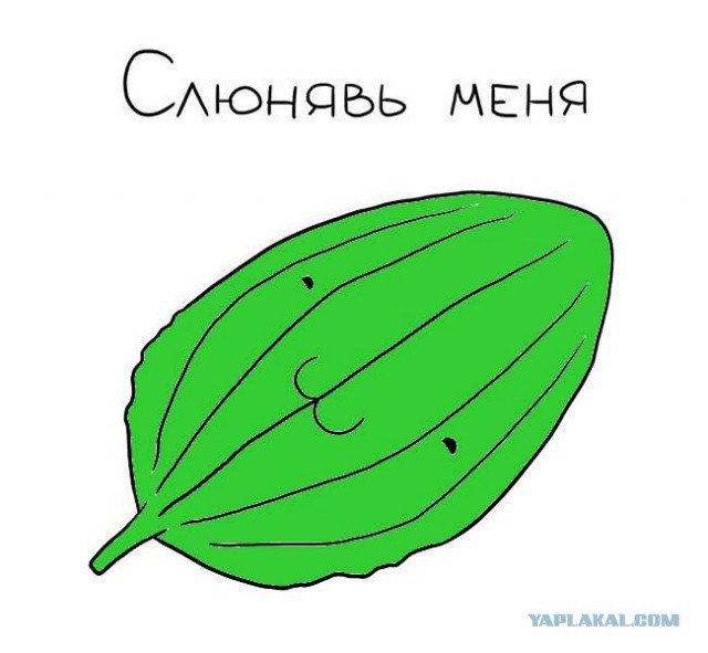 Подборка частицы смеха...