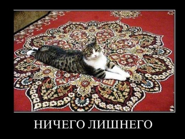 Прикольные животные