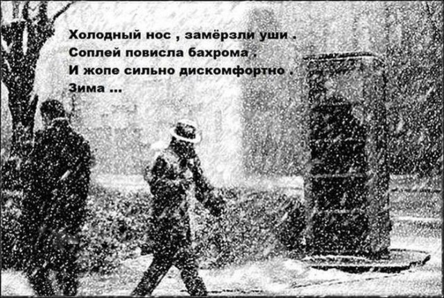 Всячина. Картинки и тексты картинками