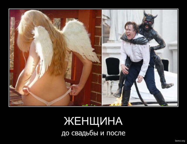 Подборка интересных и веселых картинок