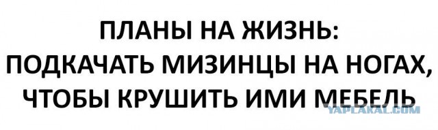 Смешные комментарии из социальных сетей 17.02.2016
