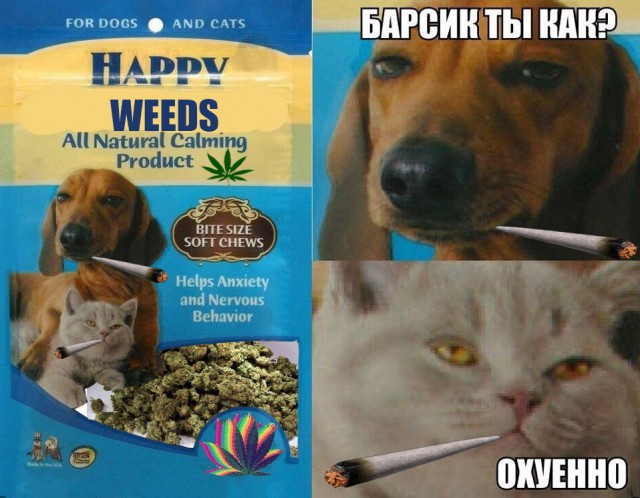 Подборка картинок