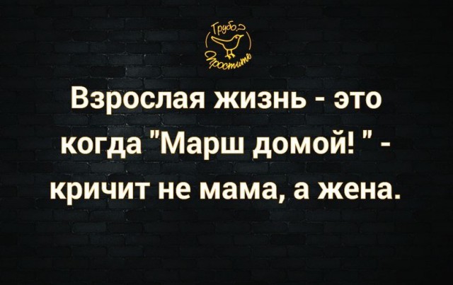Смешные комментарии из социальных сетей 24.03.2017