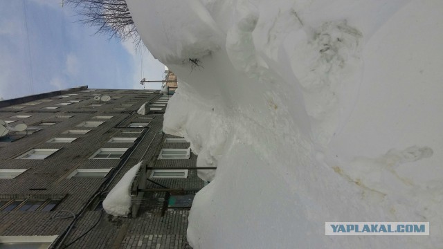 Меняй резину, говорили они, задолбал цокать, говорили они...
