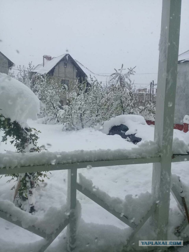 Апокалипсис в Кишиневе