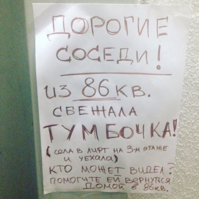 Подборка интересных и веселых картинок