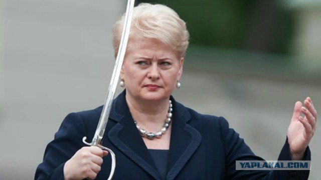 На каком языке общаются между собой премьеры Литвы, Латвии и Эстонии