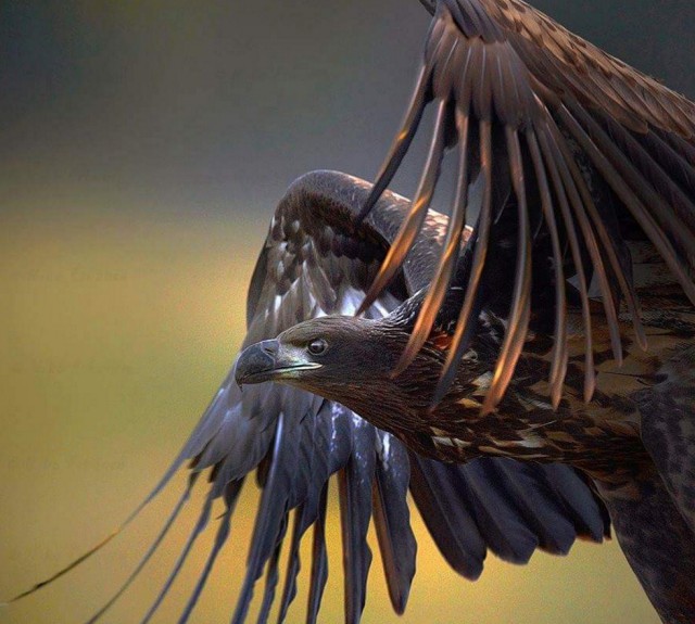 Подборка интересных и веселых картинок